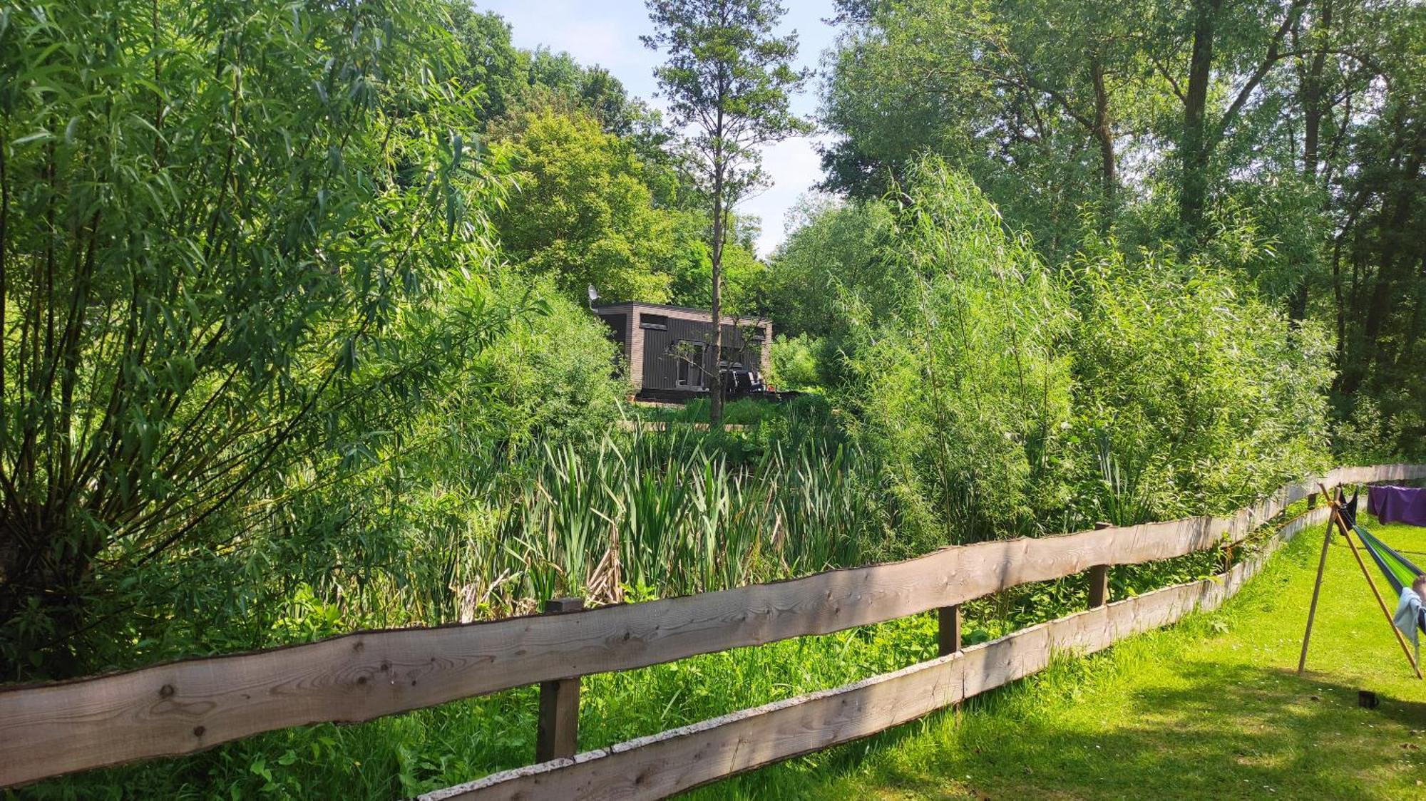 Tiny House 14 - Sollberg Villa Salzhemmendorf Buitenkant foto